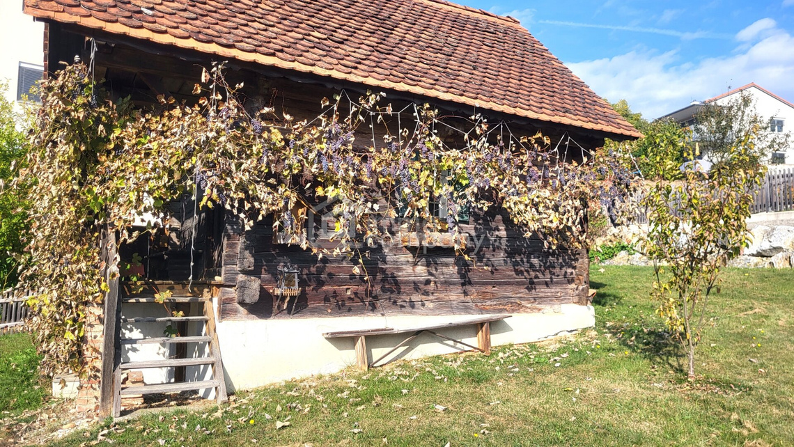Ursprünglicher Charme trifft modernen Wohnkomfort – vielseitiges Anwesen nahe Graz! – Foto 7
