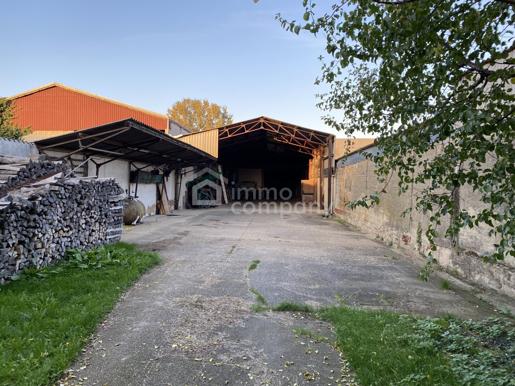 Traditionelles Bauernhaus mit historischem Weinkeller – Foto 6