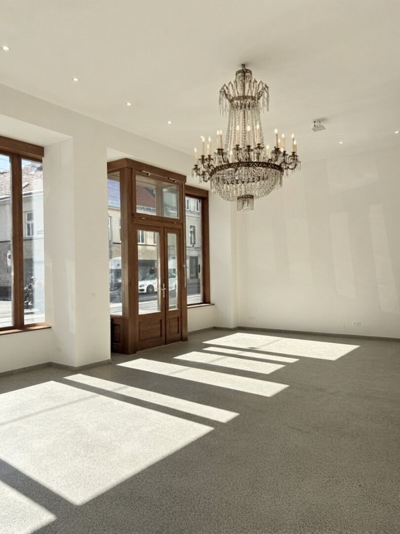 ELEGANTES GESCHÄFTSLOKAL MIT WUNDERSCHÖNEM PORTAL IN REPRÄSENTATIVEM ALTBAU – Foto 6