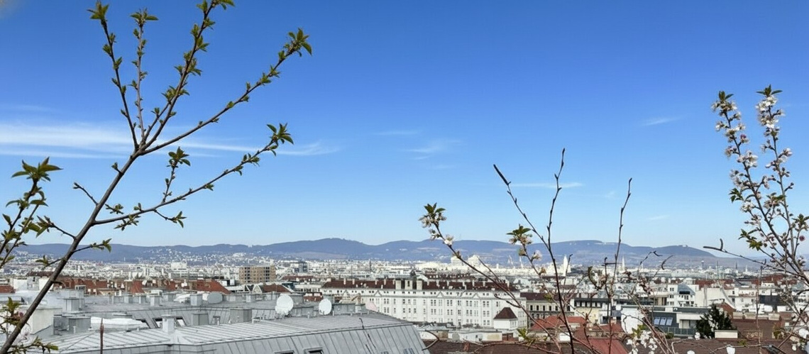 Dachterrasse mit sensationellem 360 Grad Rundumblick! – Foto 3