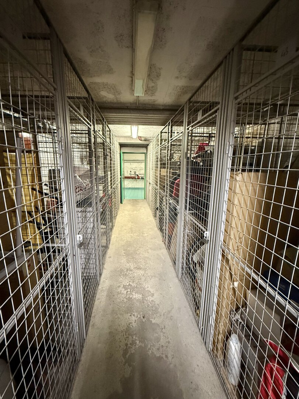 Befristet vermietete Wohnung inkl. Garagenstellplatz im gepflegten Haus – Foto 4