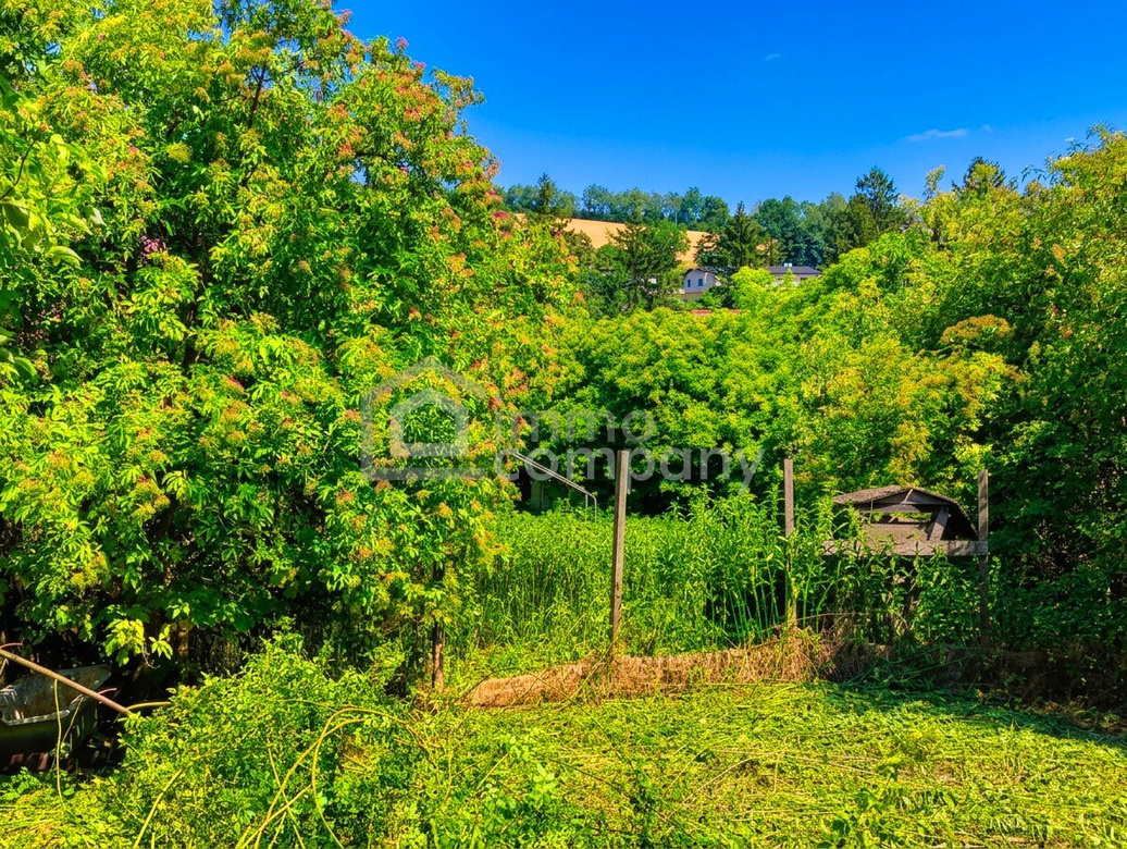 Mistelbach Nähe, Ruhelage, Preis-Sensation! – Foto 2