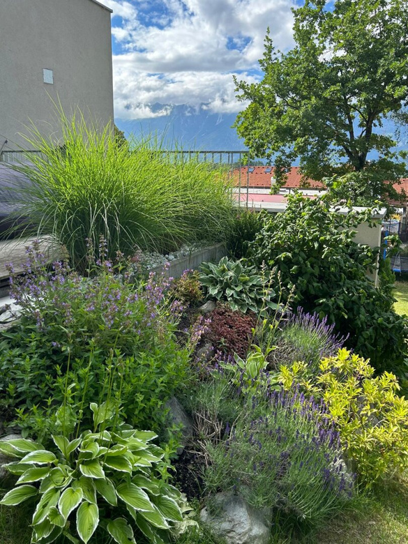 Architektonische Doppelhaushälfte in Rinn – Panoramablick auf die Nordkette – Foto 10