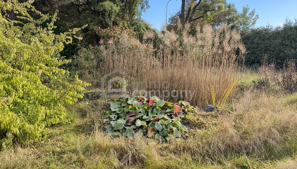 🌿 Wunderschönes Grundstück in bester Lage – vielseitig bebaubar mit zwei Wohneinheiten – Foto 4
