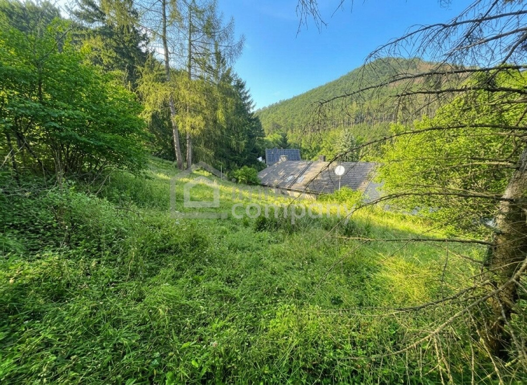 VIEL PLATZ – VIEL GARTEN – VIELE MÖGLICHKEITEN AUF EINER EBENE – Foto 1