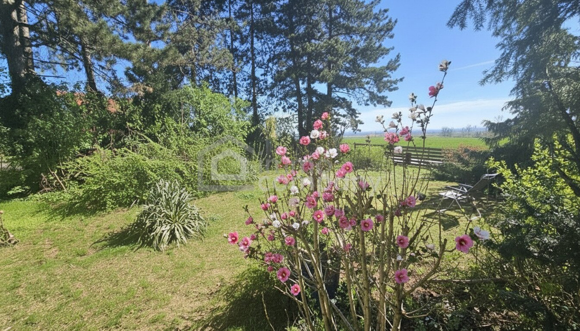 Im Urlaub Zuhause! – Foto 3