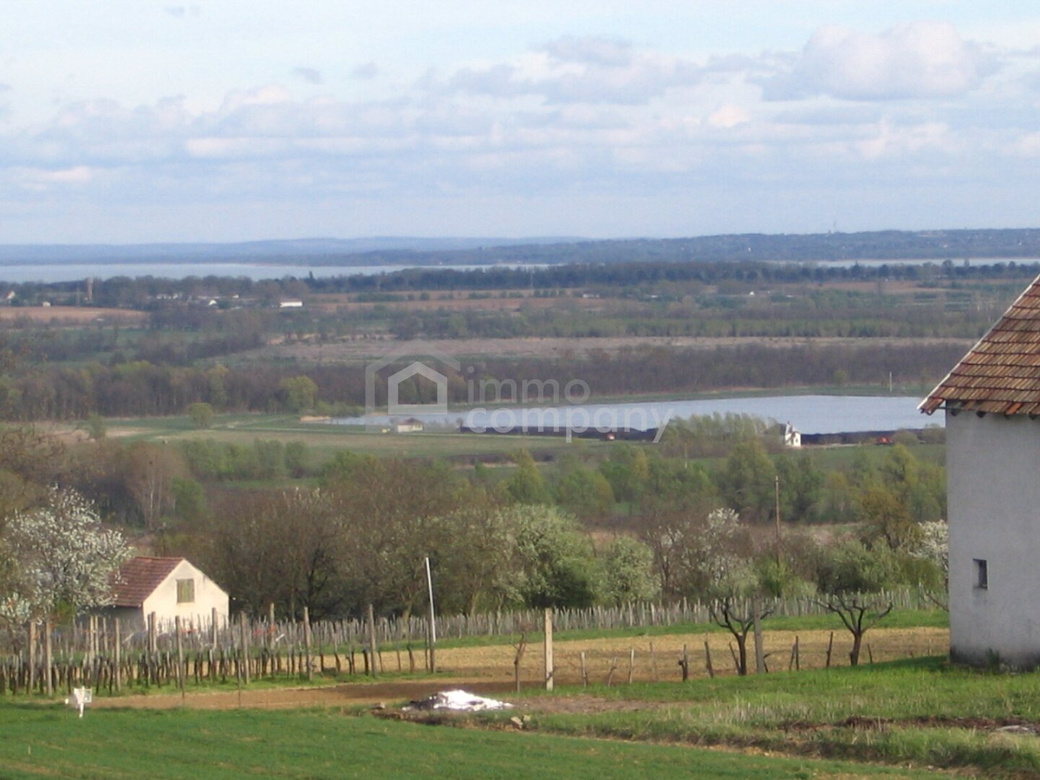 Einmalige Gelegenheit großer Grund mit Bohrrecht Thermalwasser - Unique opportunity to acquire large land near Heviz with drilling rights for thermal water. – Foto 2