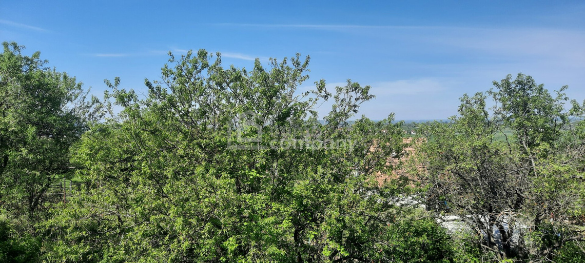 Ferienhaus über den Wolken mit 6 Wohneinheiten, 170m² Wohnfläche und einem großen Garten – Foto 1