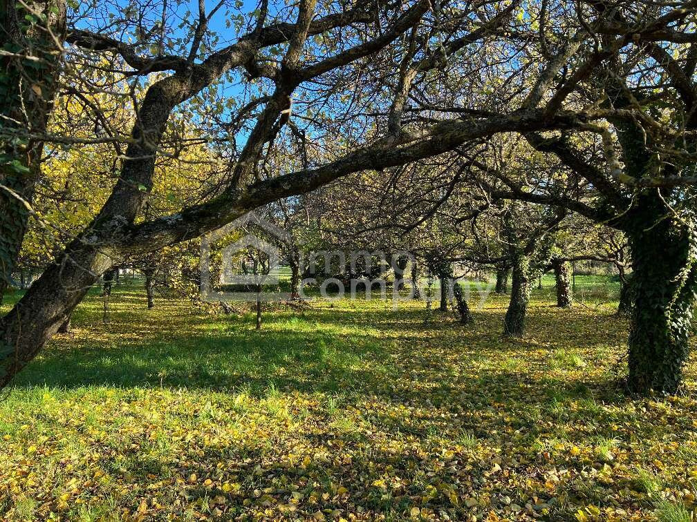 Baugrund Schlosspark – Foto 1