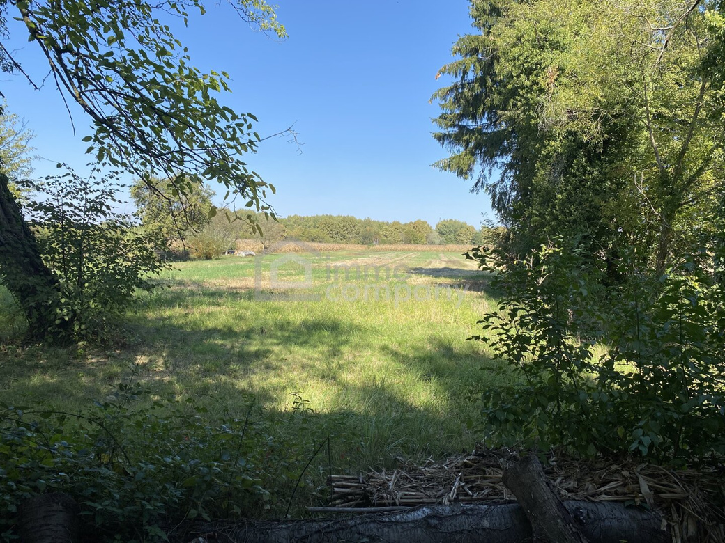 Haus am See – Foto 11