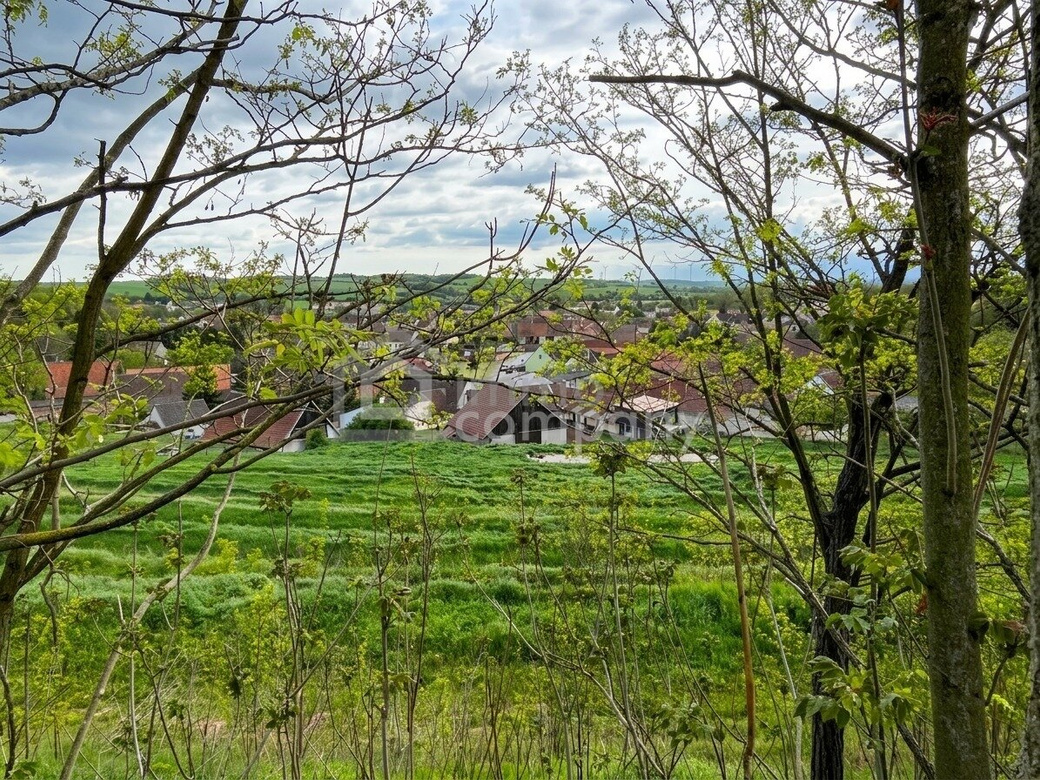 Verborgener Schatz im Reintal - ein Weinviertler Wohnjuwel mit Potenzial – Foto 6