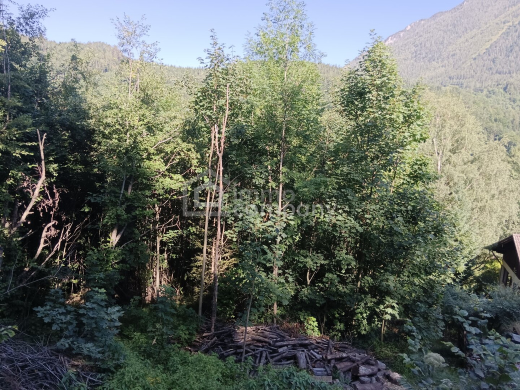 Ihr Grundstück in Hanglage mit absolutem Grünblick – Foto 2