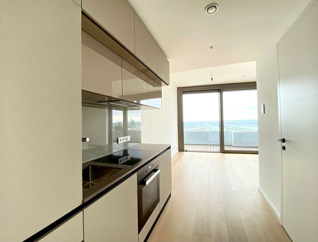 HOCHWERTIGES SINGLEAPARTMENT MIT TRAUMHAFTER FERNSICHT UND GROSSEM BALKON – Foto 1
