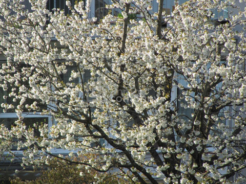 Schöne und große Wohnung. - Sonnig, tolle Aussicht ! – 4020 Linz